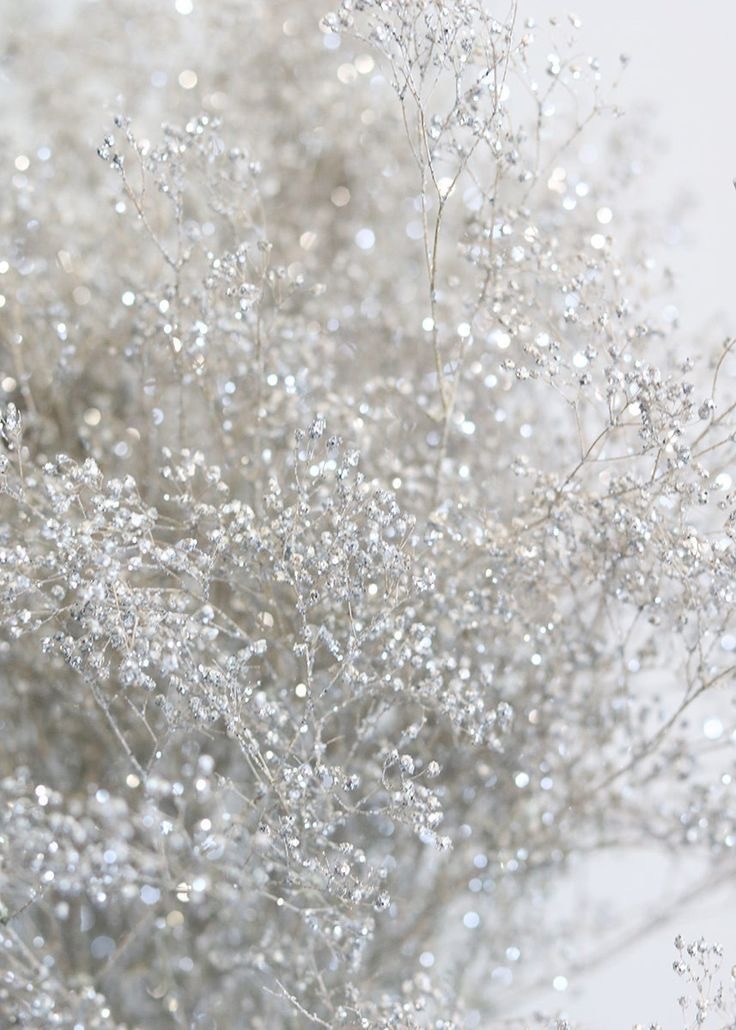 Ivy Anderson banner image