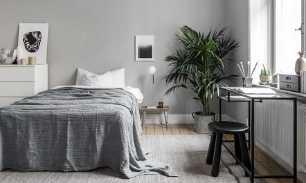 Ivy Küyen banner image