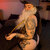 Ivy avatar