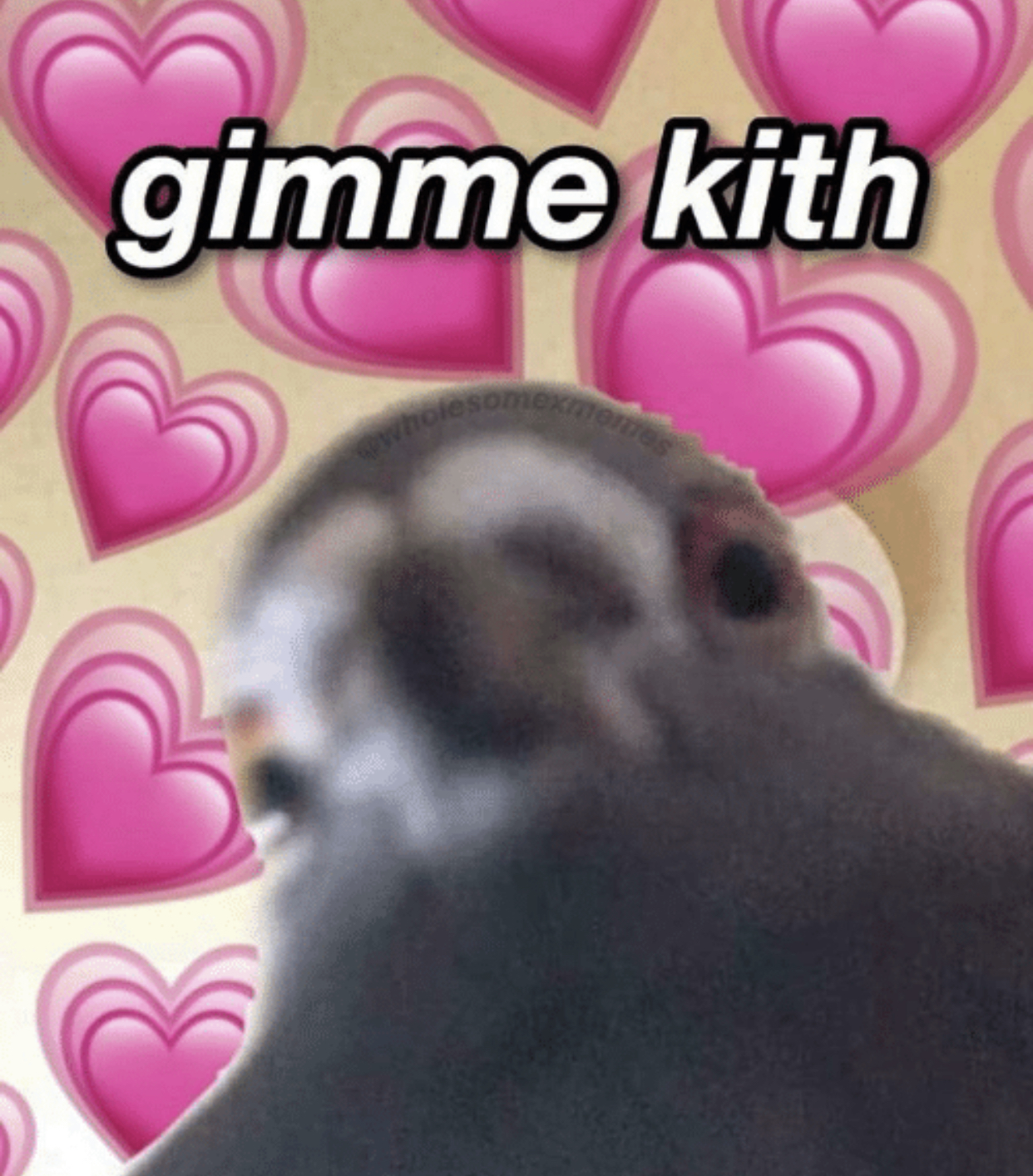 NintenDhoe banner image