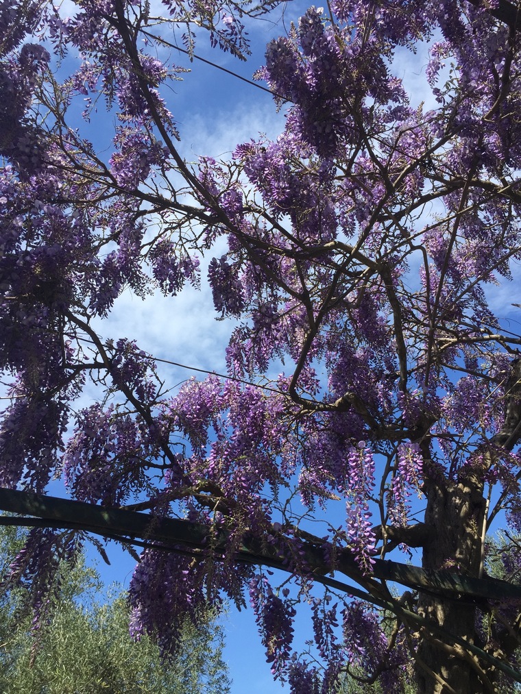 Zouzouu banner image