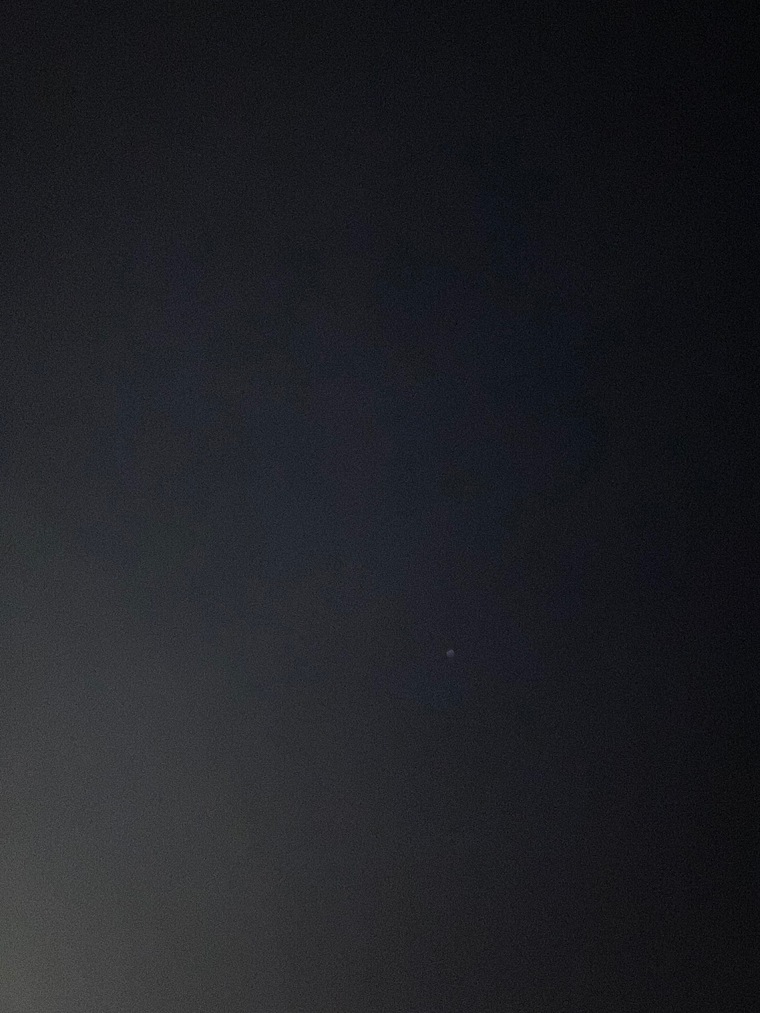 Jay banner image