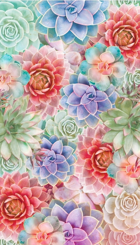 Nicole cover image
