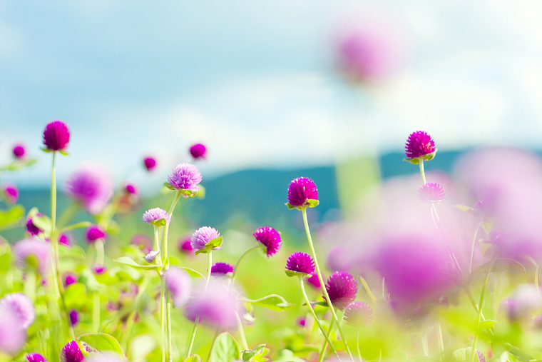 Jackie Johnson ๐ฅ banner image