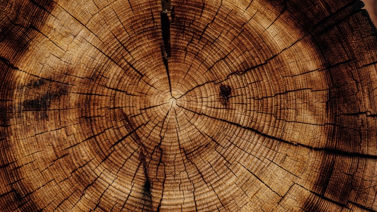 jacklumber666 banner image