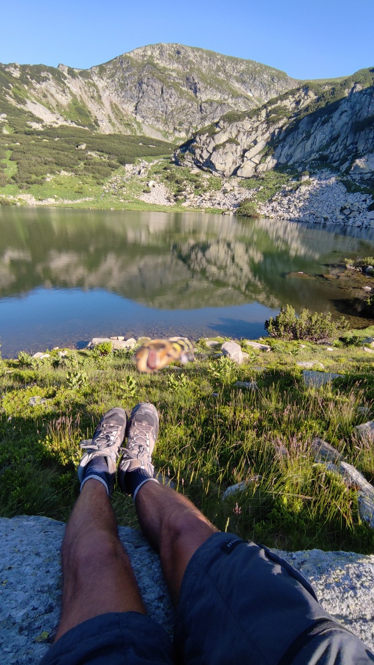 Hiking exhibionist cover image