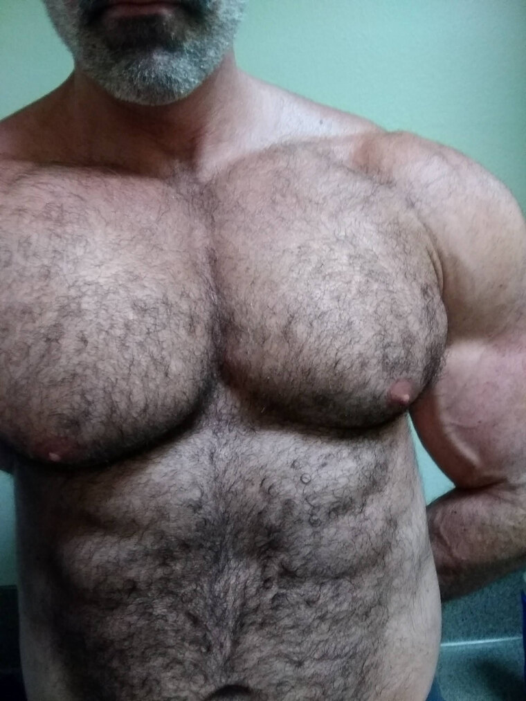 Jack Wolf XXL FREE cover image