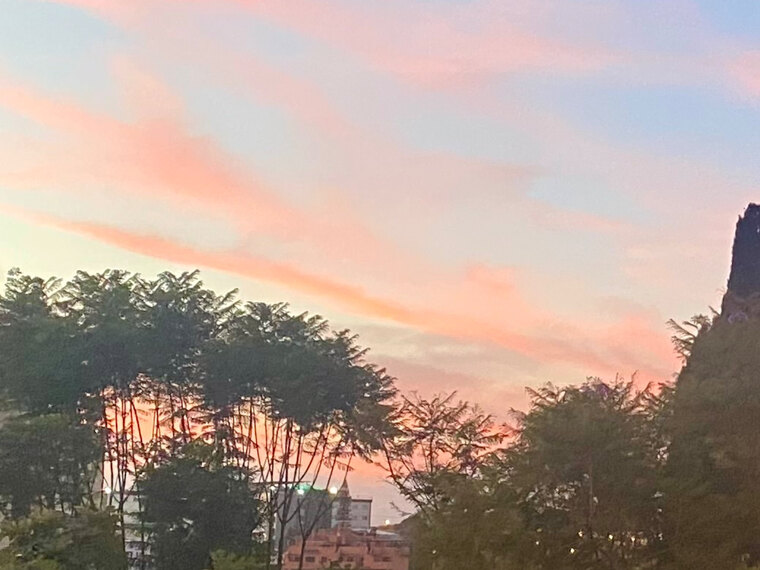 Jadde🧚♀️ banner image