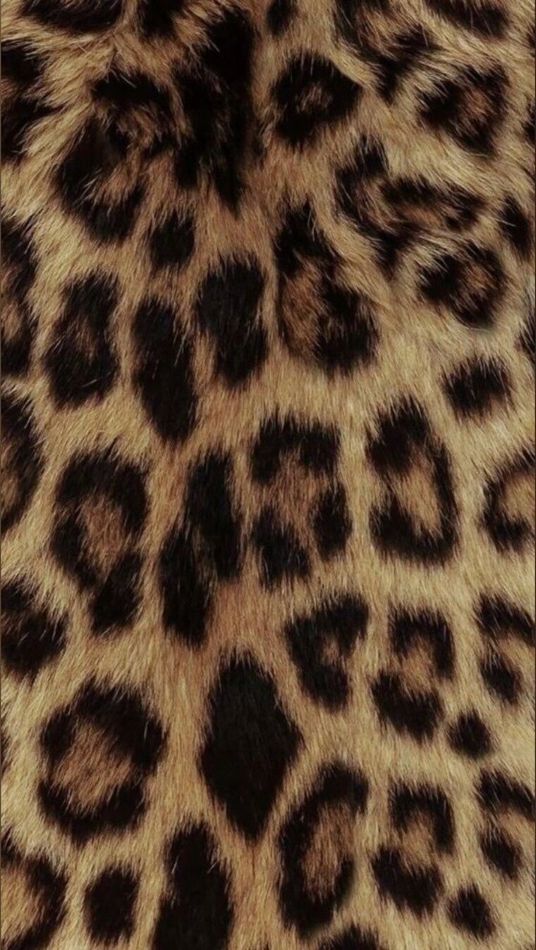 Jade cover image