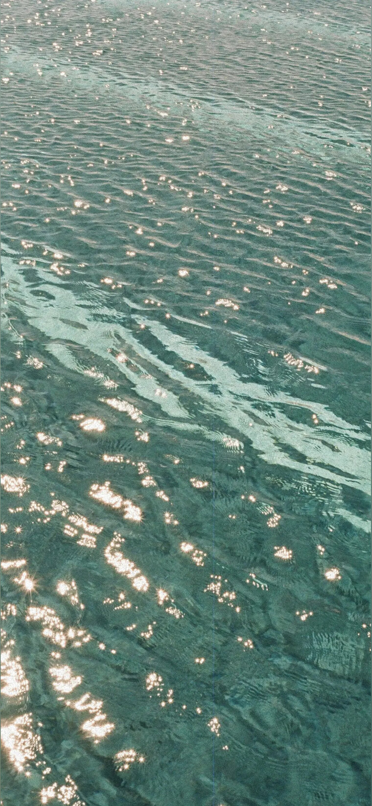 재유 cover image