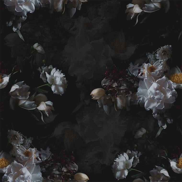 Jae cover image