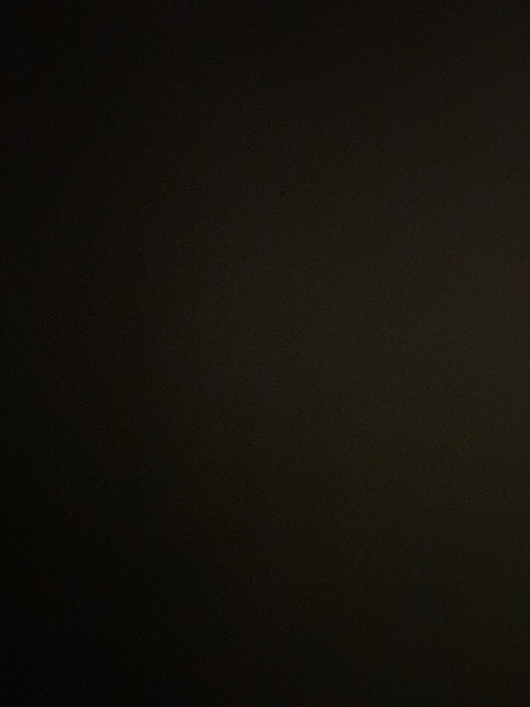 Jaina Reina banner image