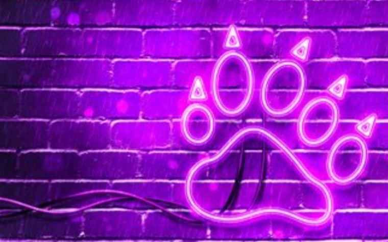 Jair Silva banner image