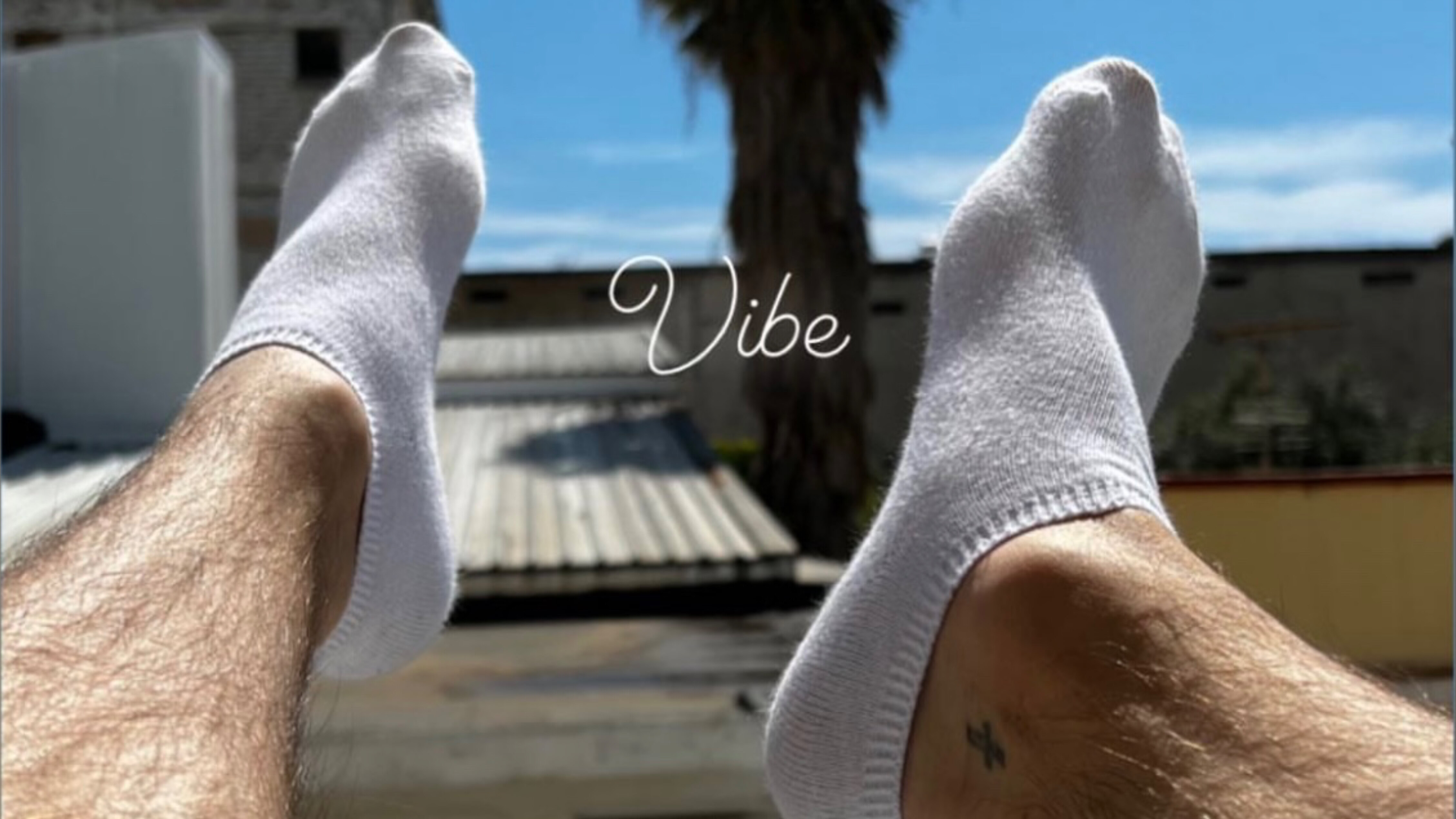 Jake Dams banner image