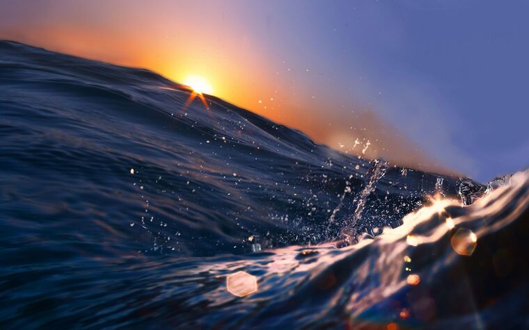 Jake Johnson banner image