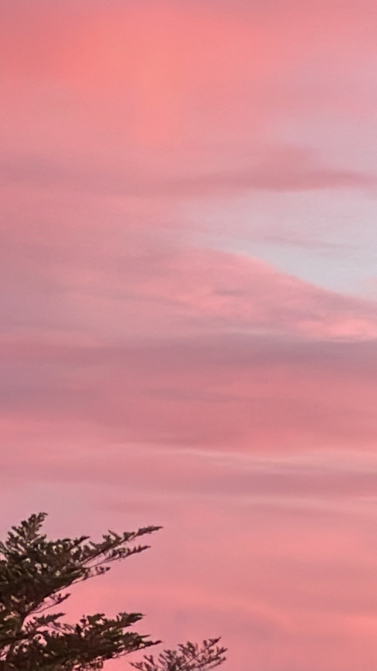 Jaklyn A banner image