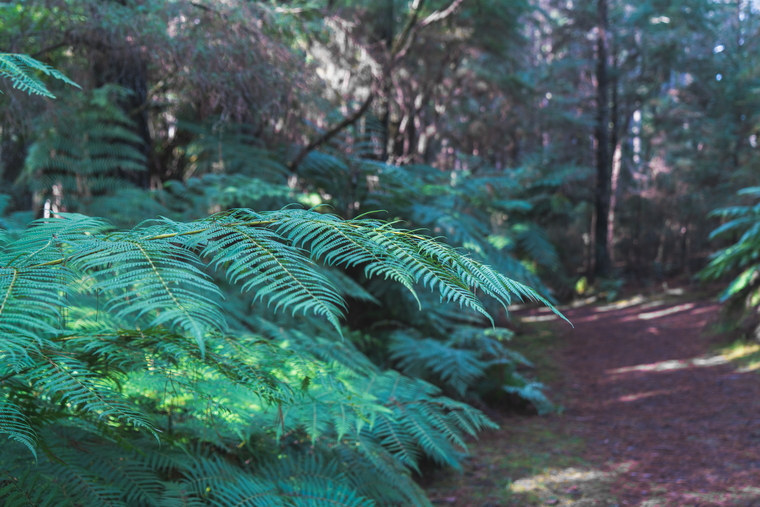 James cover image