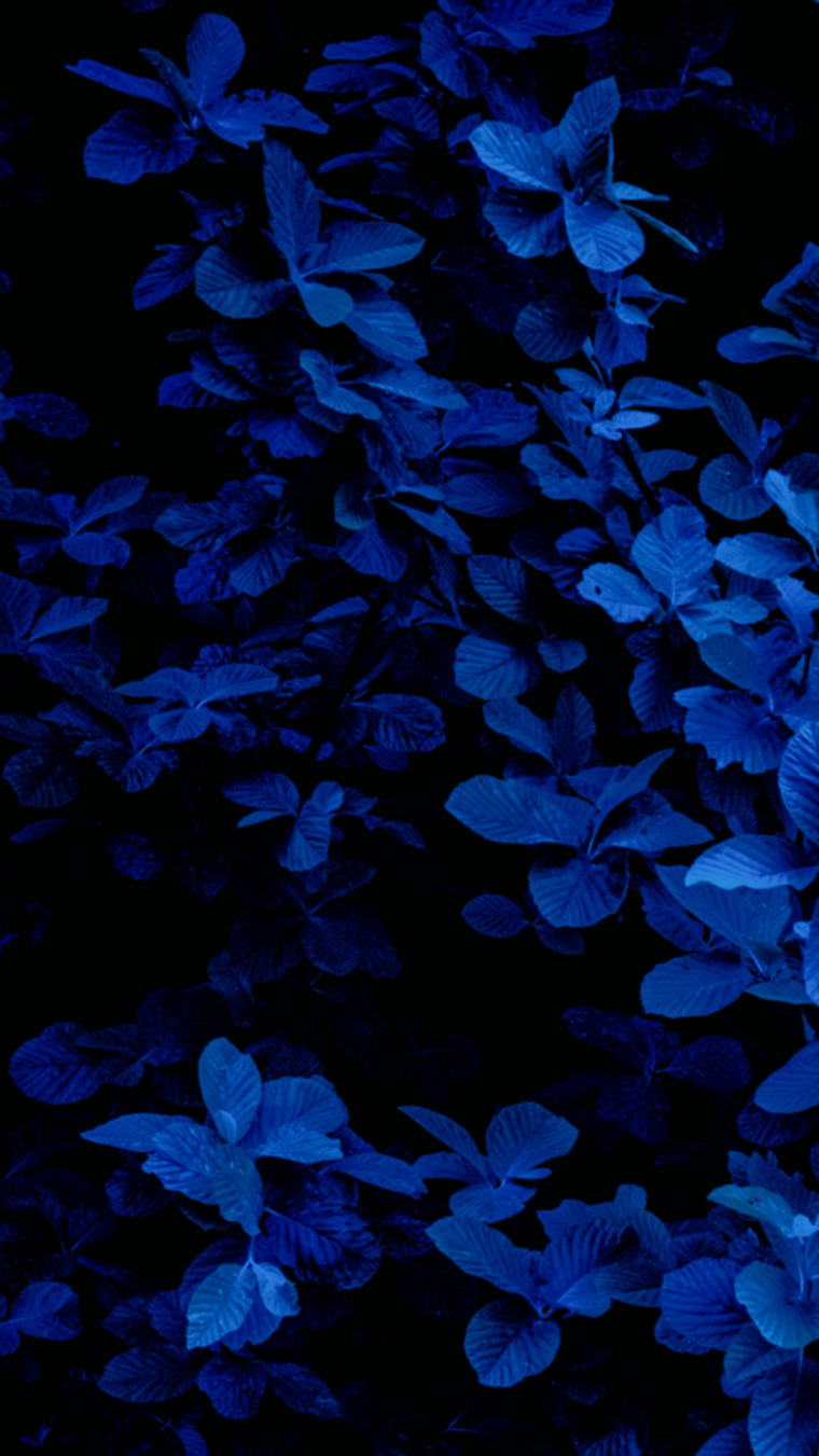 Jamesonmatthew cover image