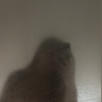 J in J POV avatar