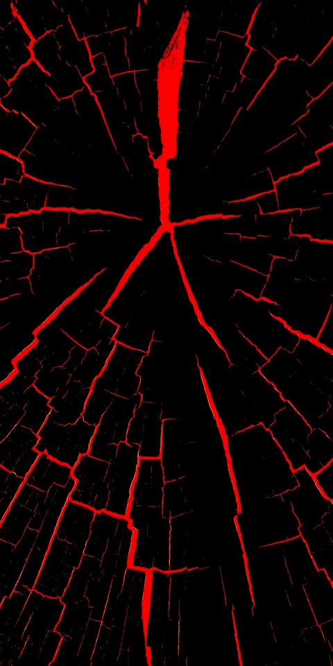 Jannciel cover image