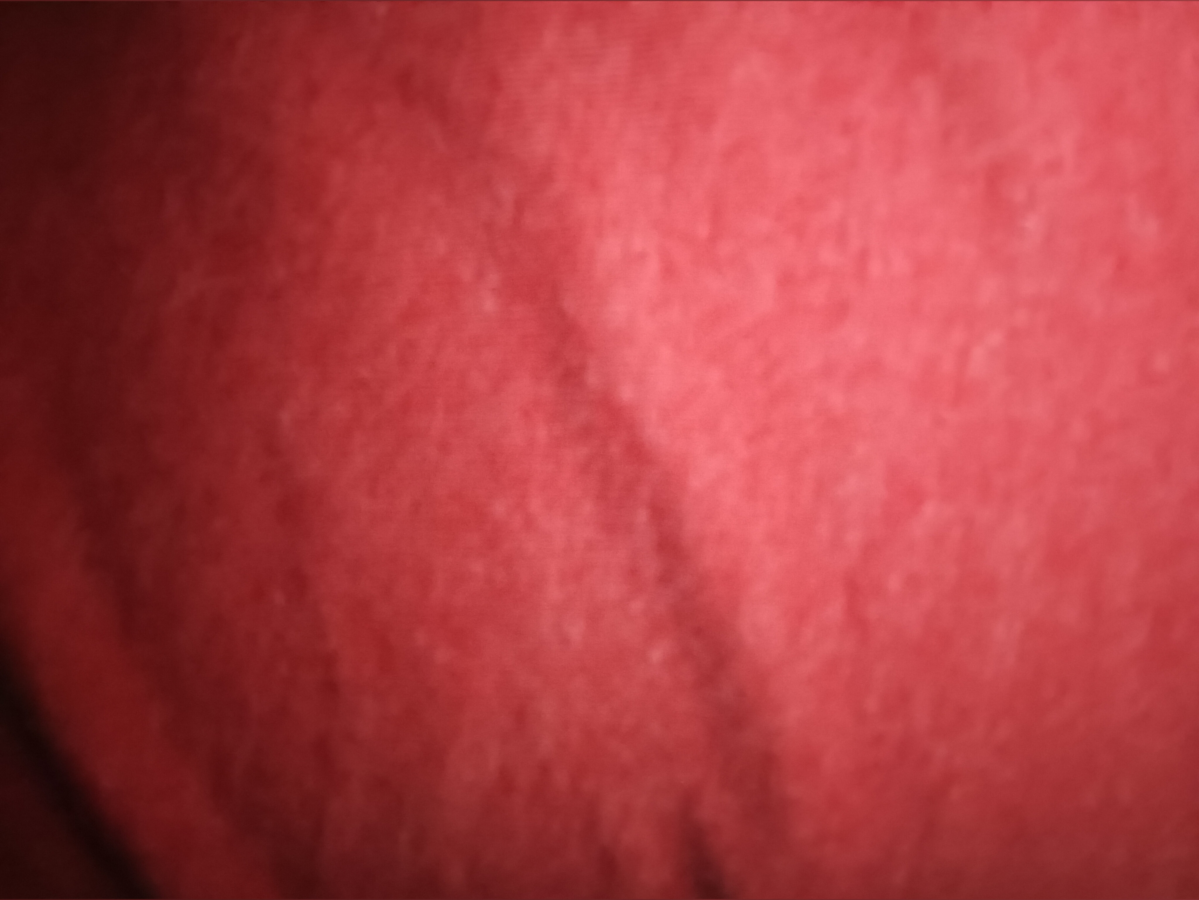 Japa Jappanen banner image