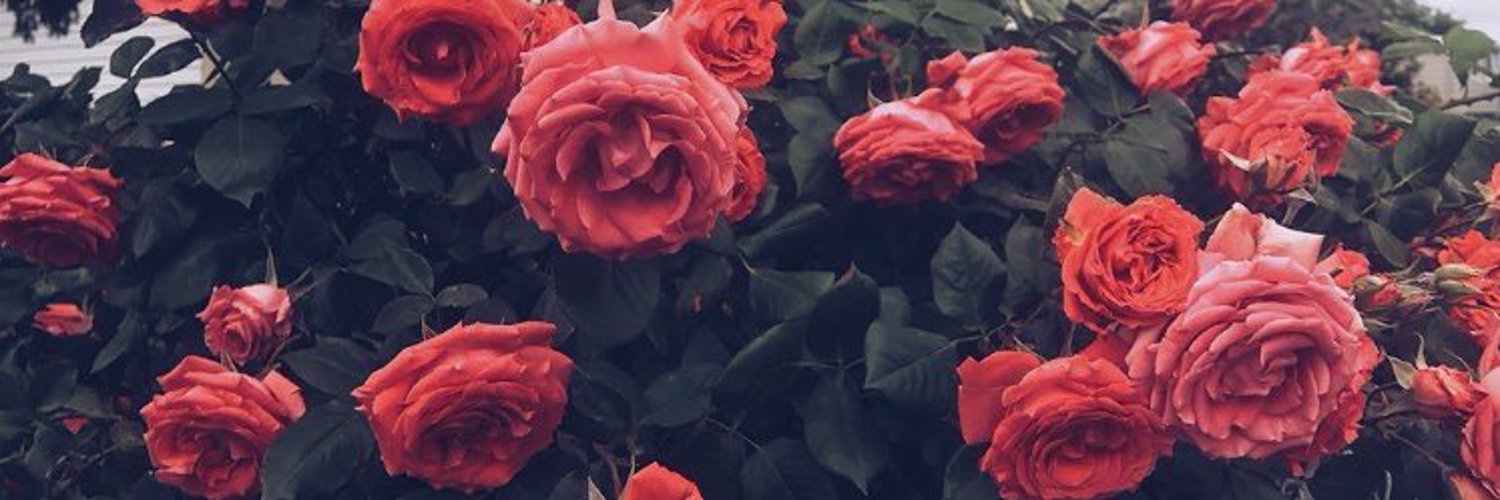 Jasper Perry banner image