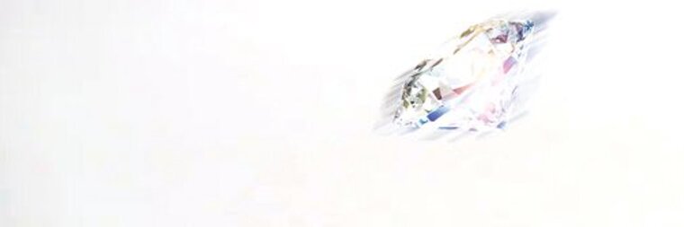 Javiita π¦ banner image