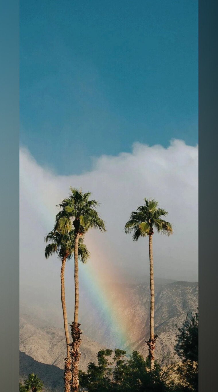 Javiviii cover image