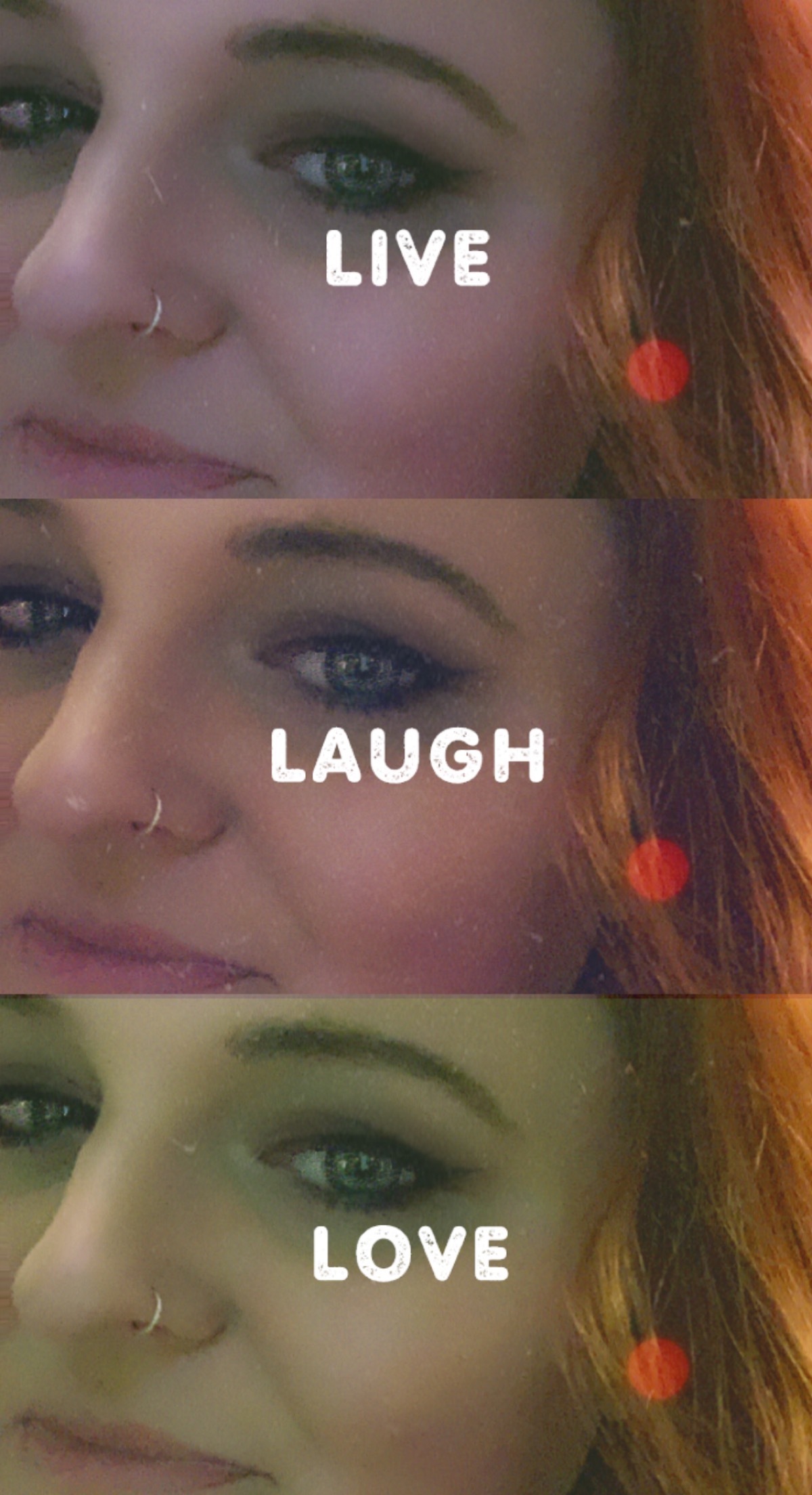 Jay Jay banner image