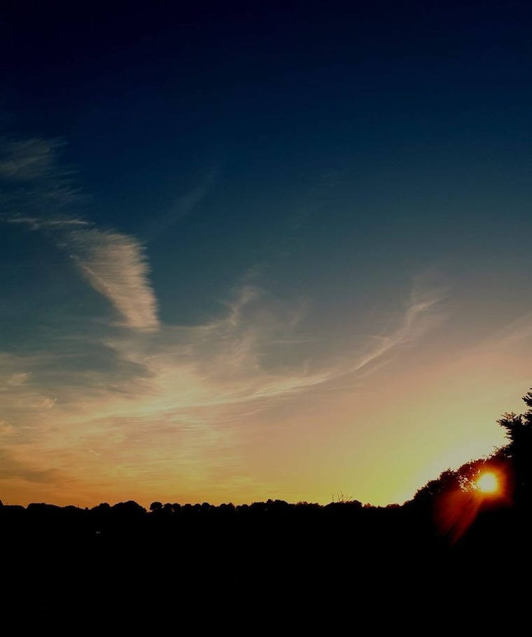 Jay banner image