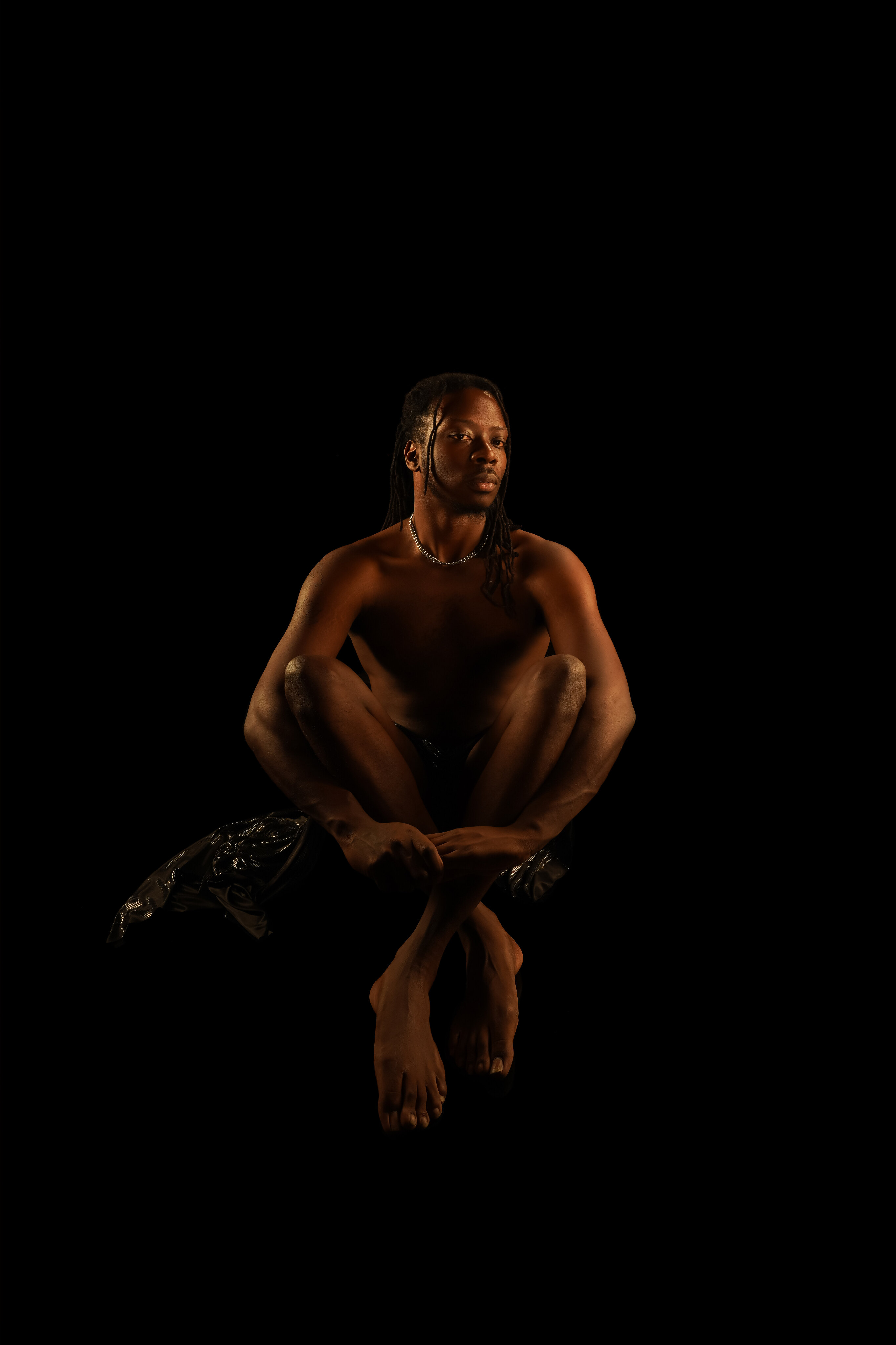 Jay banner image