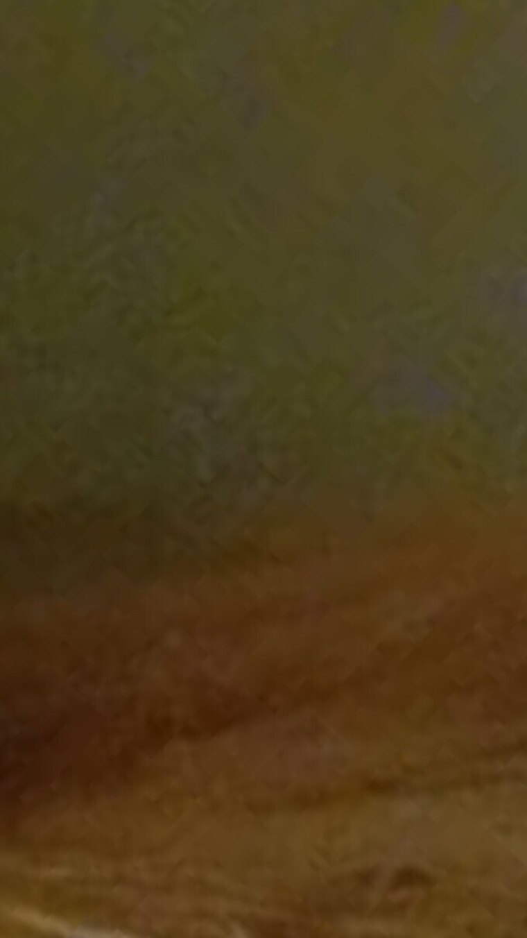 JaydaBug cover image