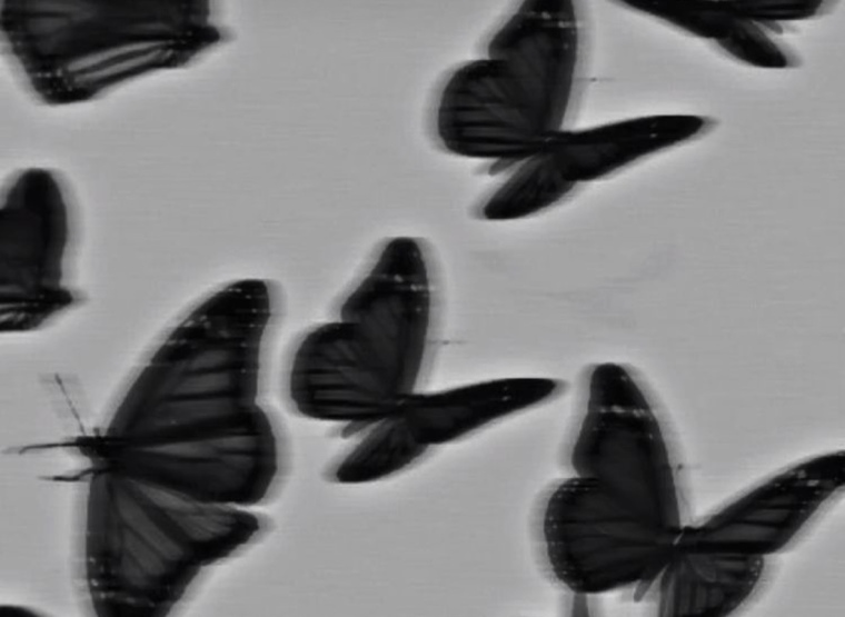 🖤Jayde🖤 banner image