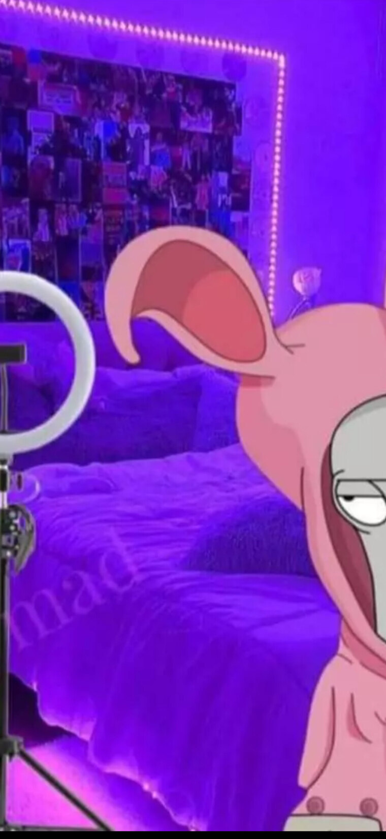 𝓙𝓪𝔂𝓵𝓮𝓷 😵💫💦 cover image