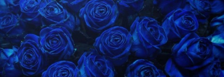 J$ cover image