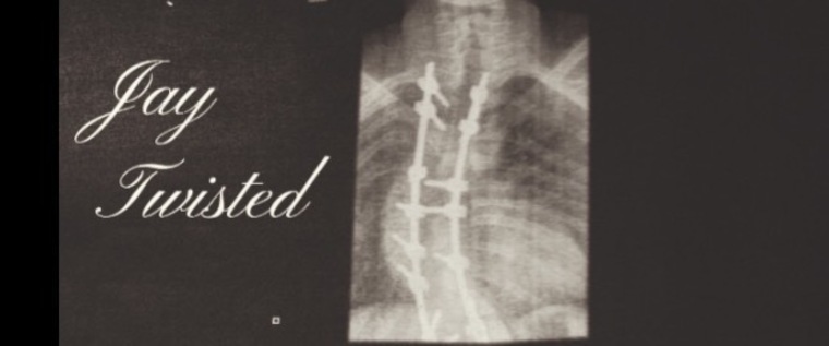 Jay Twisted banner image