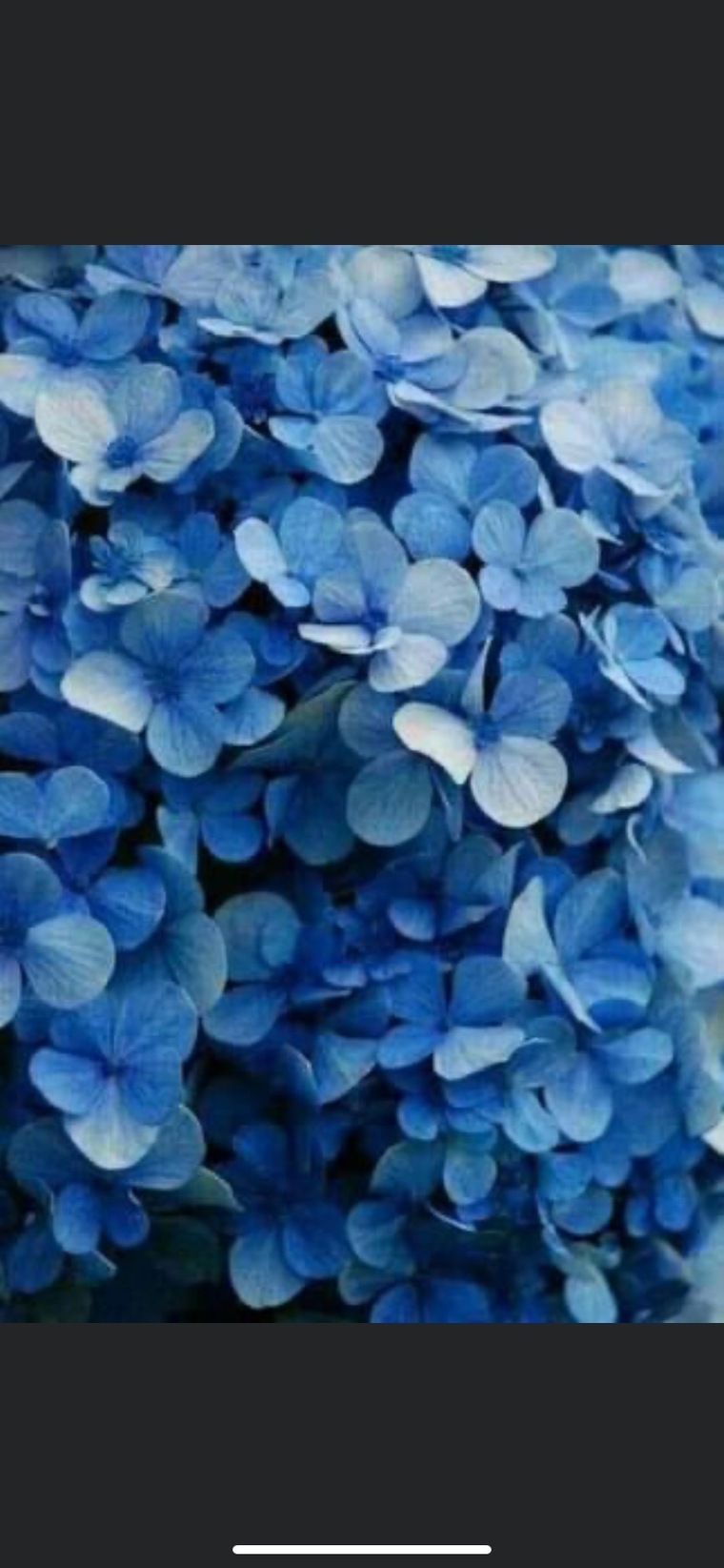 Jayy Marie banner image