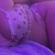 Jayykayy90 avatar