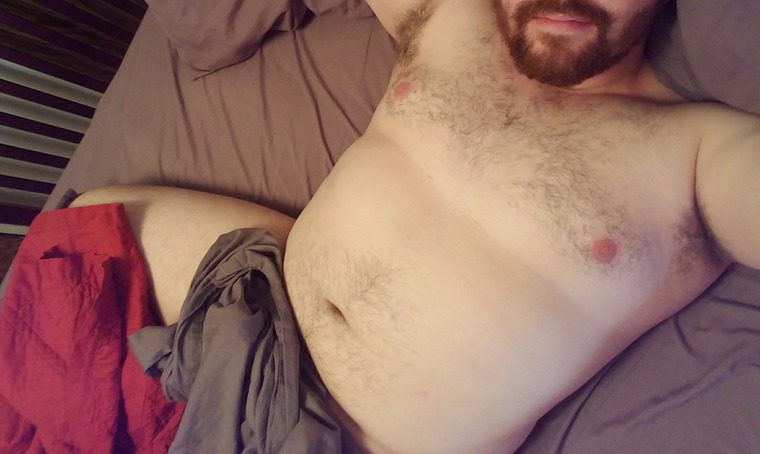 Chubby Bearded Bear 🐻 cover image