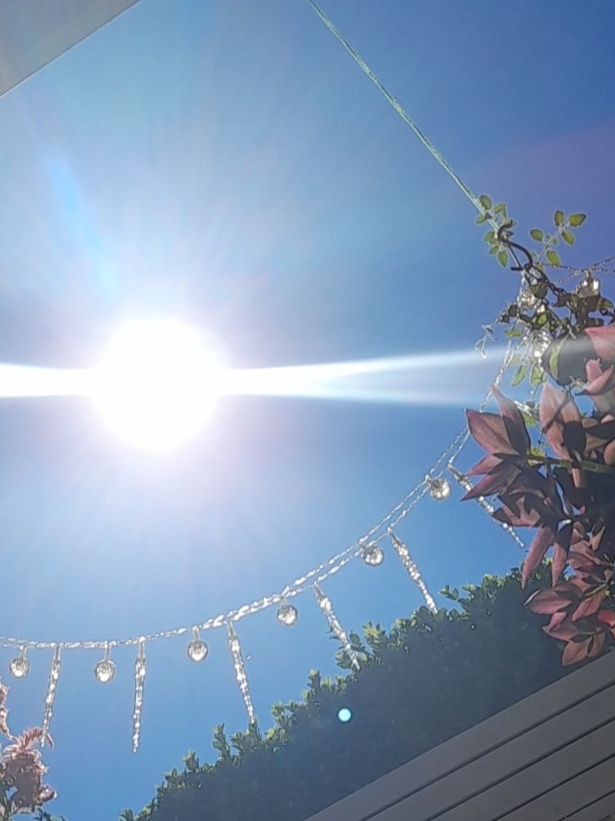 JJ banner image