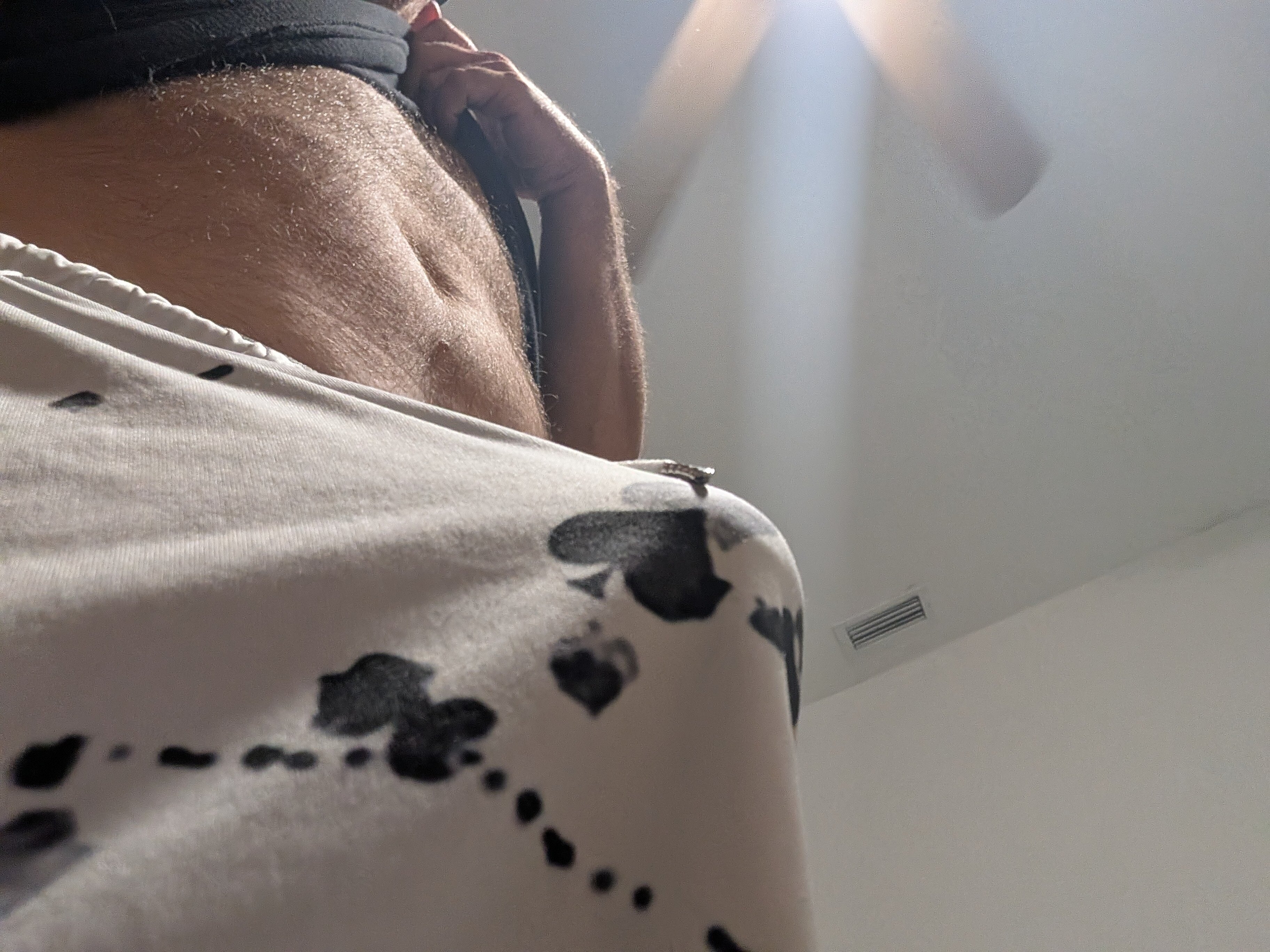 Jbird banner image