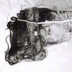 Jda avatar