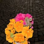Marie Neřeknu avatar
