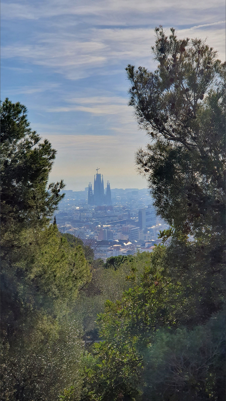 Jecz_z cover image