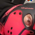 Jedipupp avatar