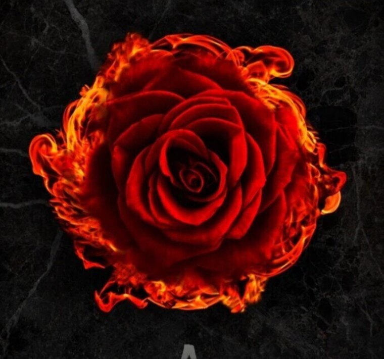 Jessica cover image