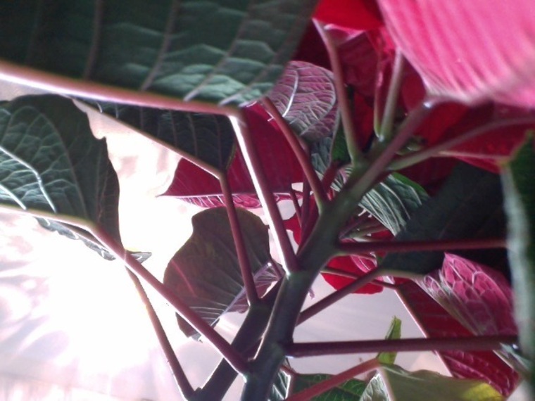 Feetra banner image
