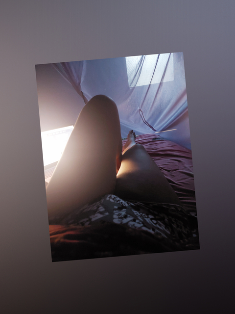 Steffi cover image