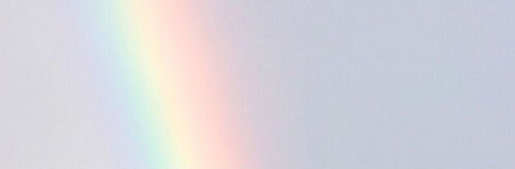Jenni banner image