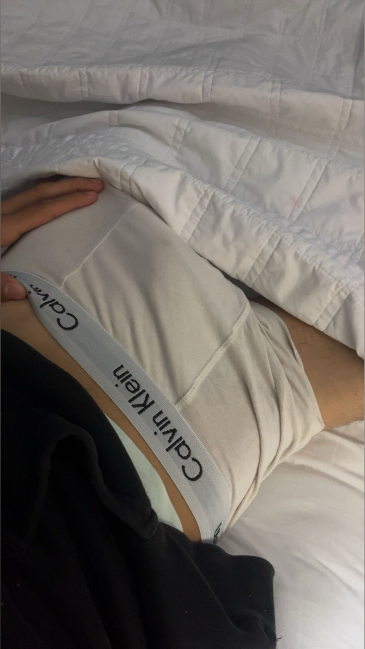 Jensen banner image